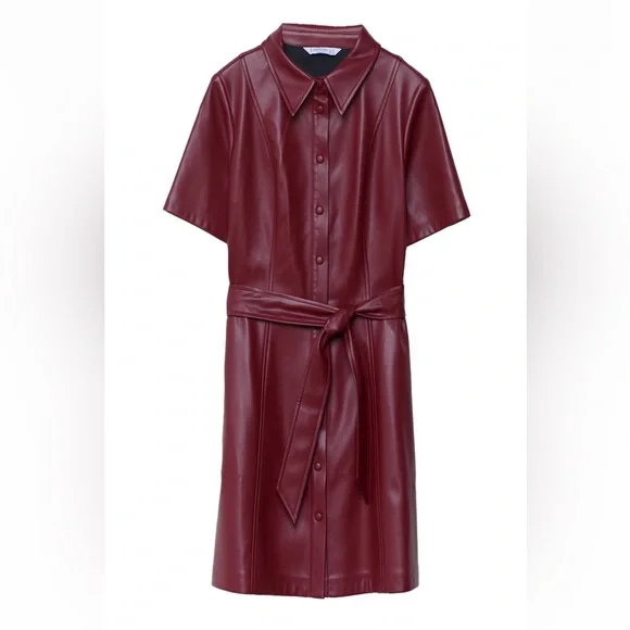 chinese dress ladies Faux Leather Dress in Redwood main image 0